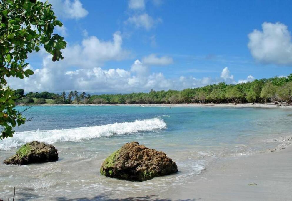 Paradise Duplex Avec Piscine Et Acces Le Gosier (Grande-Terre)